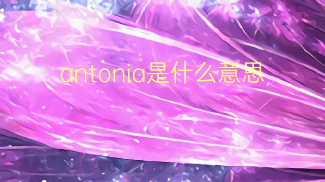 antonia是什么意思 antonia的翻译、读音、例句、中文解释