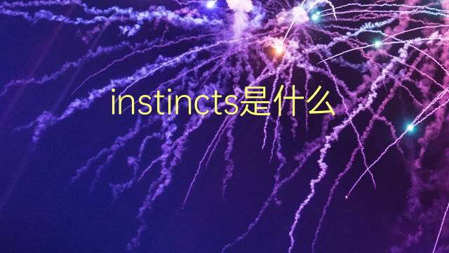 instincts是什么意思 instincts的翻译、读音、例句、中文解释