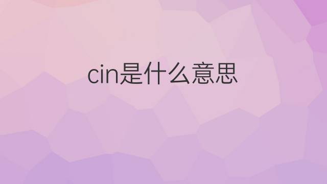 cin是什么意思 cin的翻译、读音、例句、中文解释