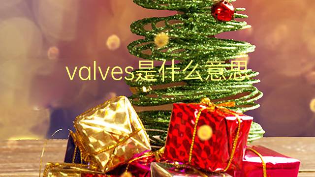 valves是什么意思 valves的翻译、读音、例句、中文解释