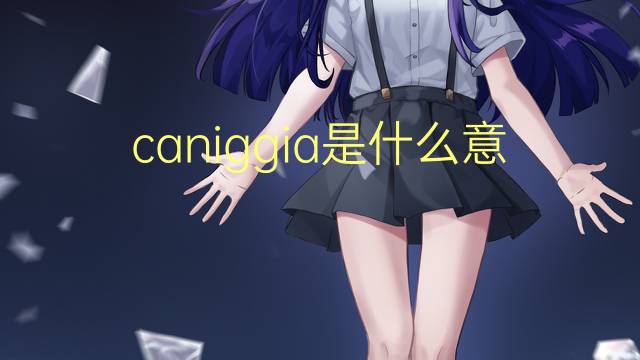 caniggia是什么意思 英文名caniggia的翻译、发音、来源