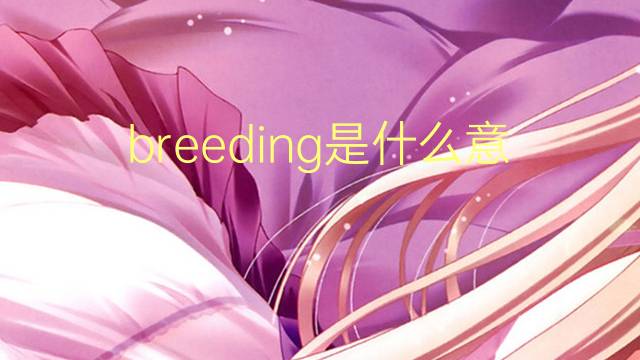 breeding是什么意思 breeding的翻译、读音、例句、中文解释