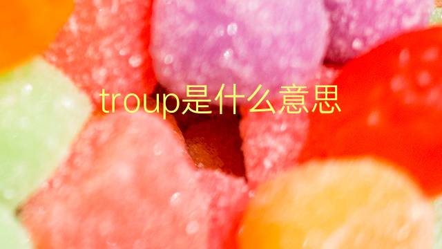 troup是什么意思 troup的翻译、读音、例句、中文解释