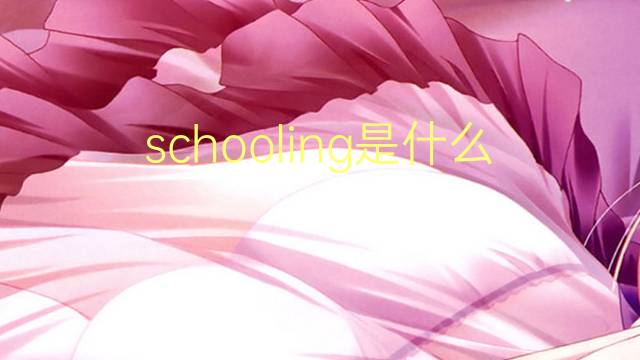 schooling是什么意思 schooling的翻译、读音、例句、中文解释