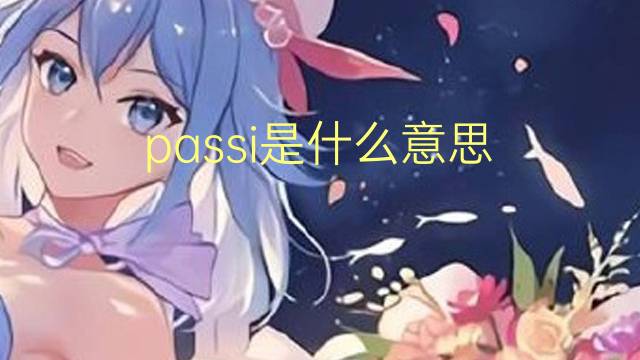 passi是什么意思 passi的翻译、读音、例句、中文解释