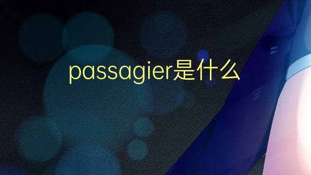 passagier是什么意思 passagier的翻译、读音、例句、中文解释