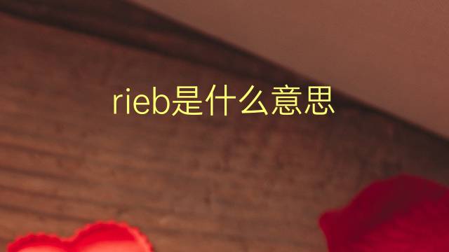 rieb是什么意思 rieb的翻译、读音、例句、中文解释