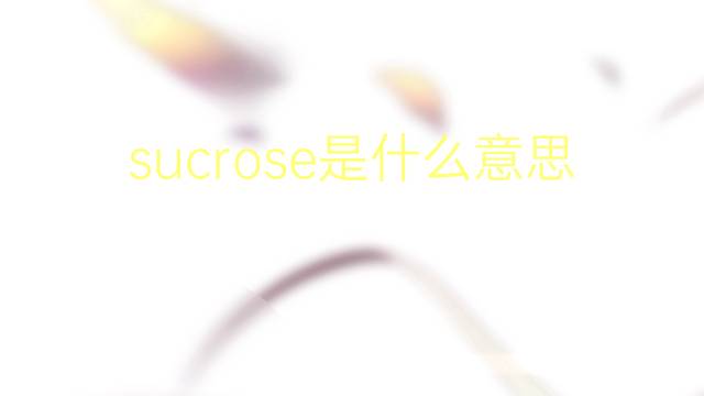 sucrose是什么意思 sucrose的翻译、读音、例句、中文解释