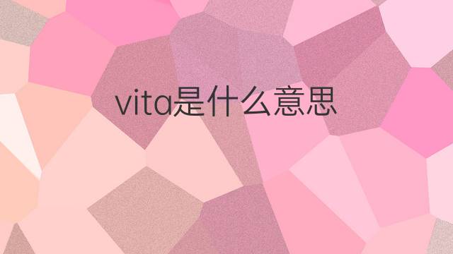 vita是什么意思 vita的翻译、读音、例句、中文解释