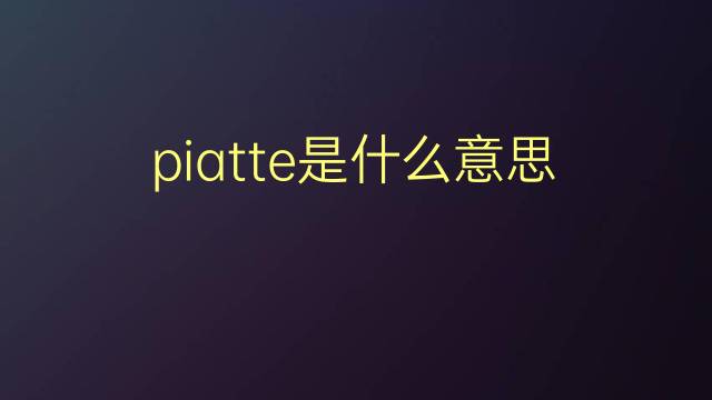 piatte是什么意思 piatte的翻译、读音、例句、中文解释