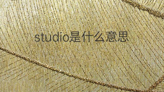 studio是什么意思 studio的翻译、读音、例句、中文解释