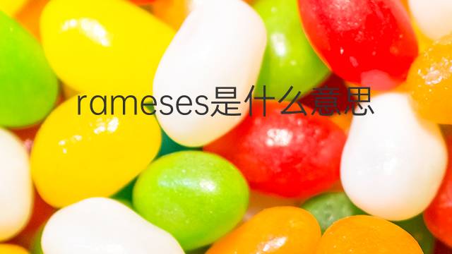 rameses是什么意思 rameses的翻译、读音、例句、中文解释