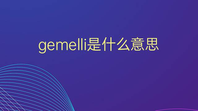 gemelli是什么意思 gemelli的翻译、读音、例句、中文解释