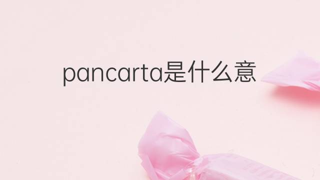 pancarta是什么意思 pancarta的翻译、读音、例句、中文解释