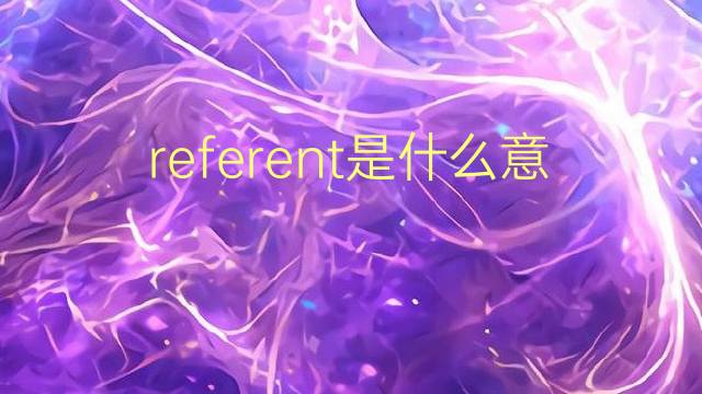 referent是什么意思 referent的翻译、读音、例句、中文解释