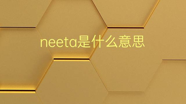 neeta是什么意思 neeta的翻译、读音、例句、中文解释