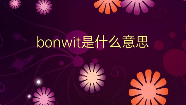 bonwit是什么意思 bonwit的翻译、读音、例句、中文解释