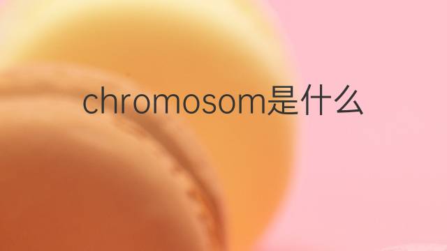 chromosom是什么意思 chromosom的翻译、读音、例句、中文解释