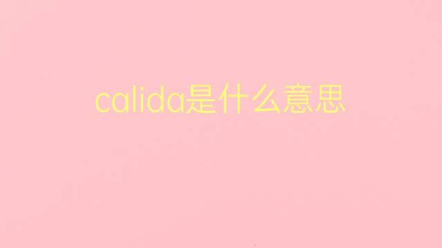 calida是什么意思 calida的翻译、读音、例句、中文解释