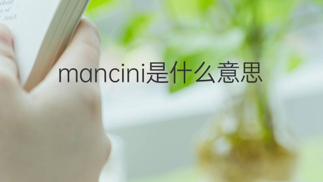 mancini是什么意思 mancini的翻译、读音、例句、中文解释