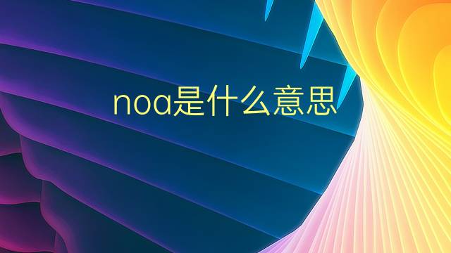 noa是什么意思 noa的翻译、读音、例句、中文解释