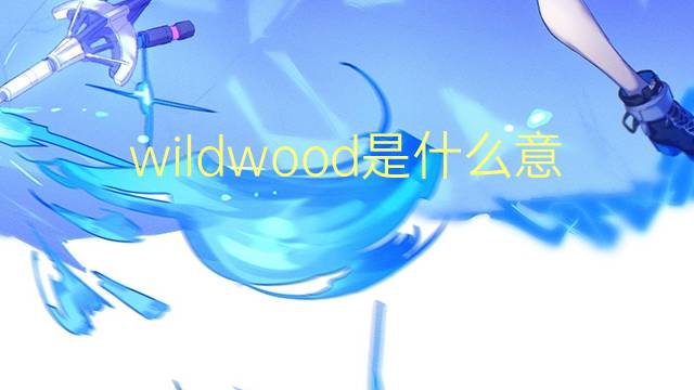 wildwood是什么意思 wildwood的翻译、读音、例句、中文解释