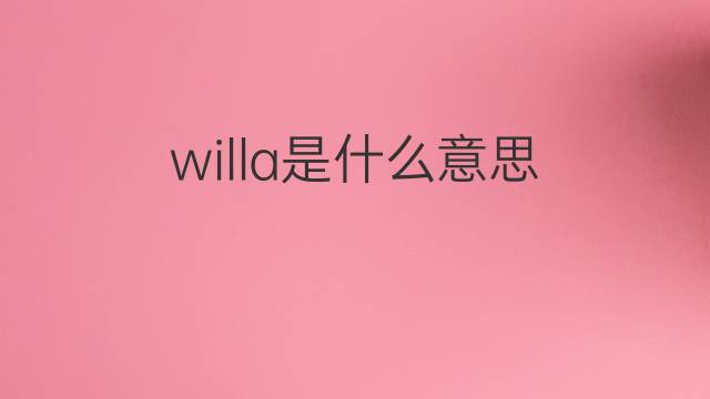 willa是什么意思 willa的翻译、读音、例句、中文解释