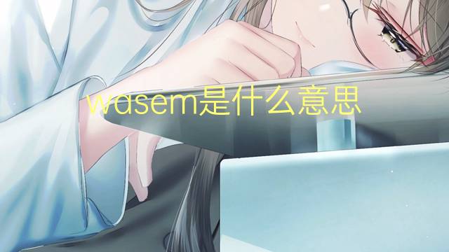 wasem是什么意思 wasem的翻译、读音、例句、中文解释