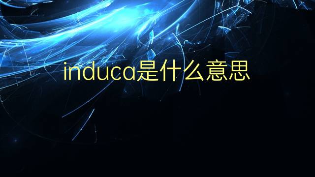 induca是什么意思 induca的翻译、读音、例句、中文解释