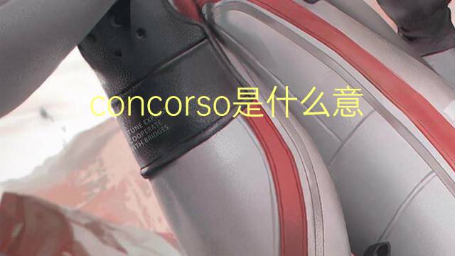 concorso是什么意思 concorso的翻译、读音、例句、中文解释