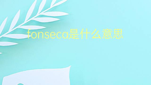 fonseca是什么意思 fonseca的翻译、读音、例句、中文解释