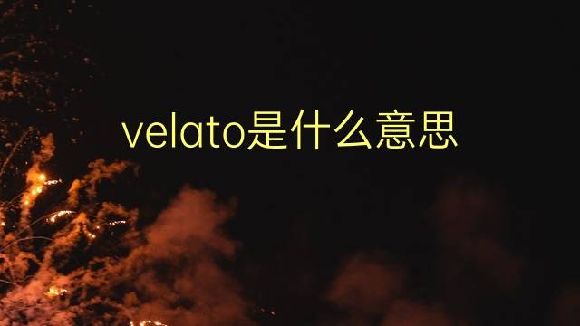 velato是什么意思 velato的翻译、读音、例句、中文解释