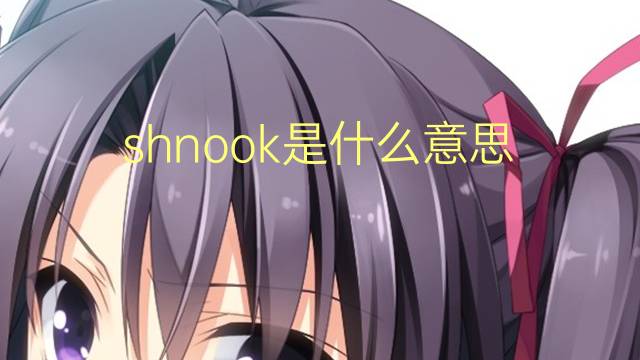 shnook是什么意思 shnook的翻译、读音、例句、中文解释