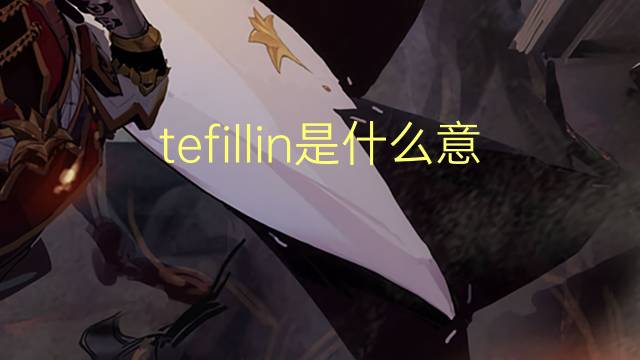 tefillin是什么意思 tefillin的翻译、读音、例句、中文解释