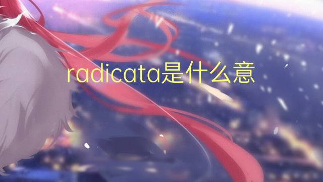 radicata是什么意思 radicata的翻译、读音、例句、中文解释