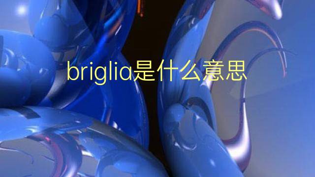 briglia是什么意思 briglia的翻译、读音、例句、中文解释