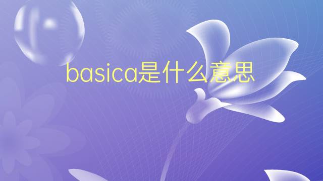 basica是什么意思 basica的翻译、读音、例句、中文解释