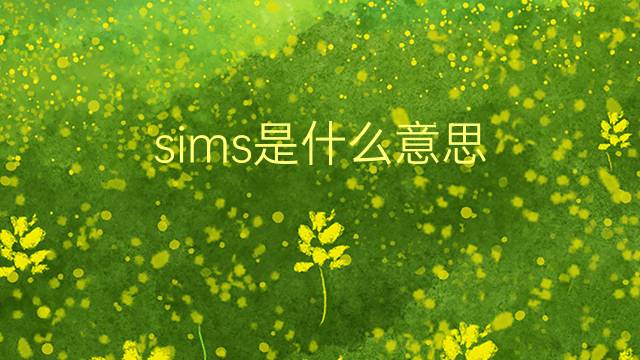 sims是什么意思 sims的翻译、读音、例句、中文解释