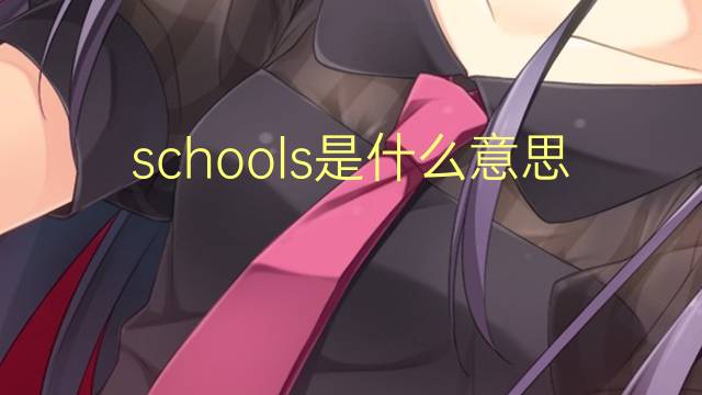 schools是什么意思 schools的翻译、读音、例句、中文解释