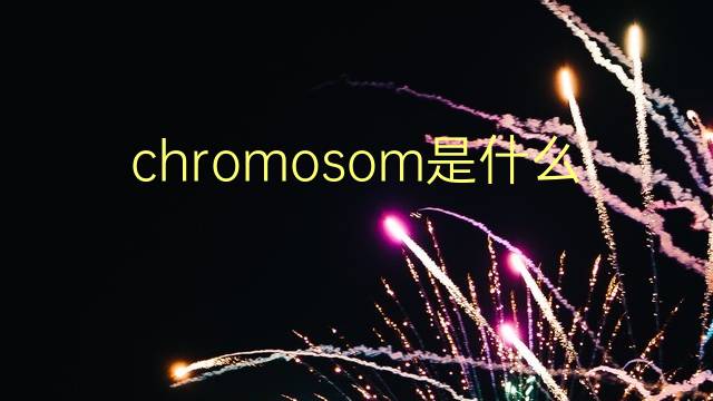 chromosom是什么意思 chromosom的翻译、读音、例句、中文解释