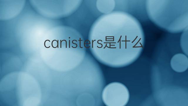 canisters是什么意思 canisters的翻译、读音、例句、中文解释