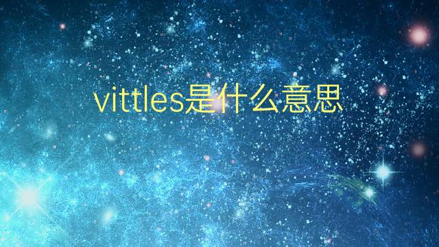 vittles是什么意思 vittles的翻译、读音、例句、中文解释