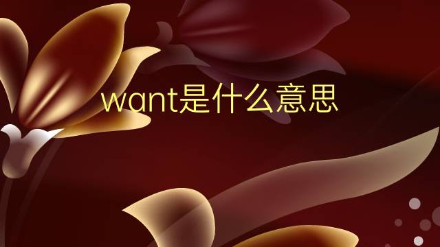 want是什么意思 want的翻译、读音、例句、中文解释