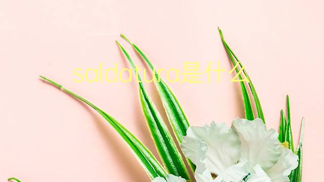 saldatura是什么意思 saldatura的翻译、读音、例句、中文解释