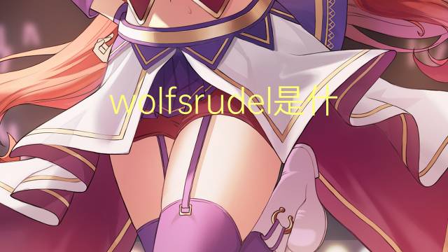 wolfsrudel是什么意思 wolfsrudel的翻译、读音、例句、中文解释