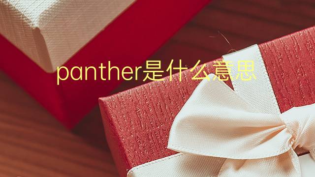 panther是什么意思 panther的翻译、读音、例句、中文解释