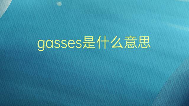 gasses是什么意思 gasses的翻译、读音、例句、中文解释