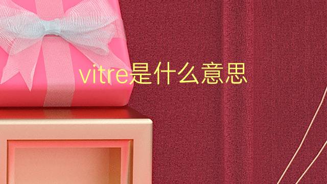 vitre是什么意思 vitre的翻译、读音、例句、中文解释