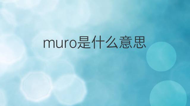 muro是什么意思 muro的翻译、读音、例句、中文解释