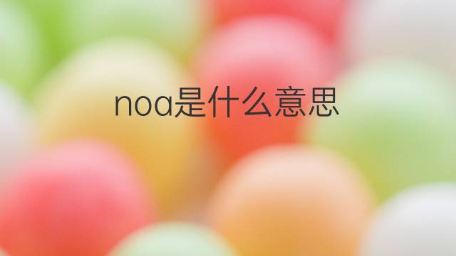 noa是什么意思 noa的翻译、读音、例句、中文解释